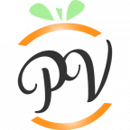 Logo ENERGIES VENDOMOISES