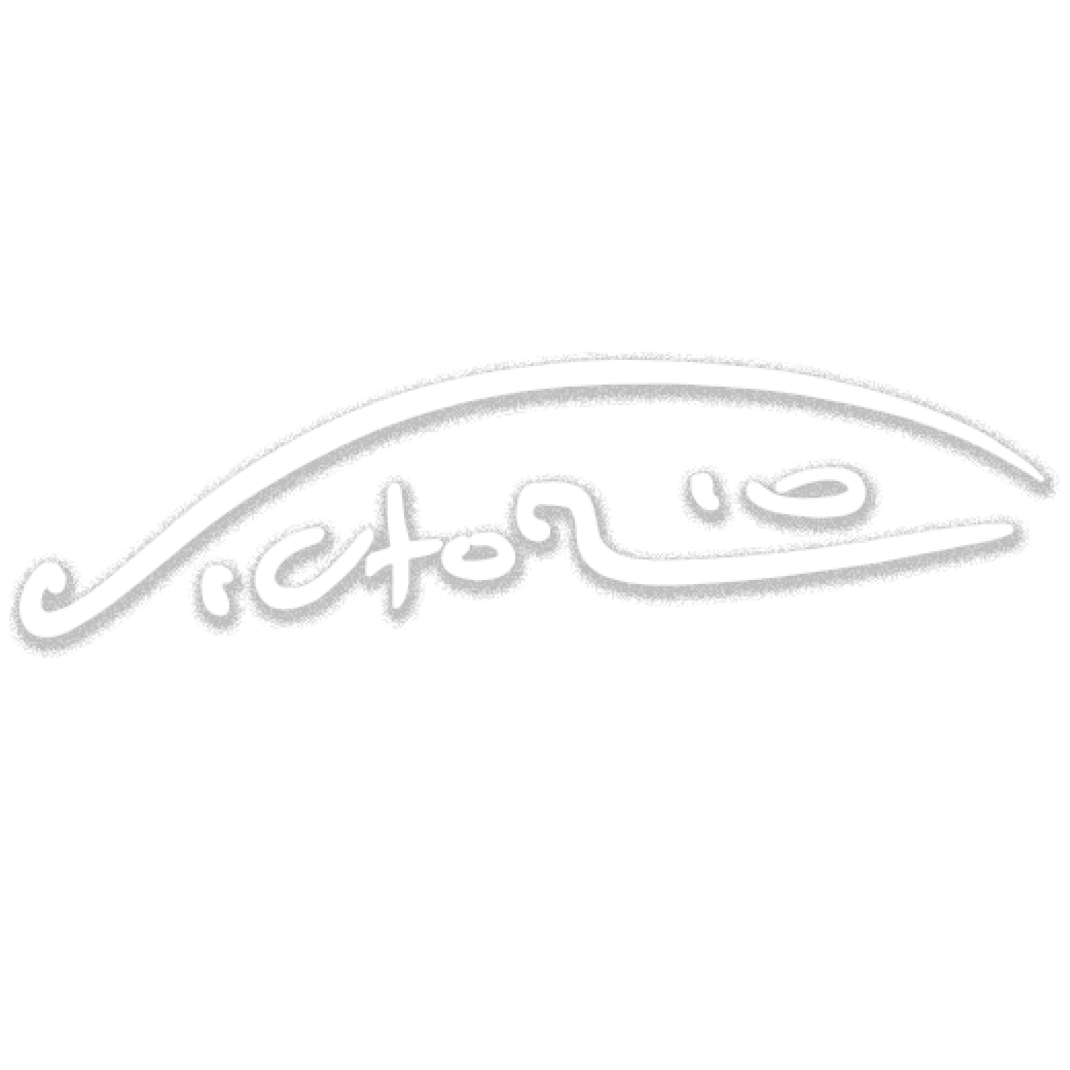 Logo VIC HOMME