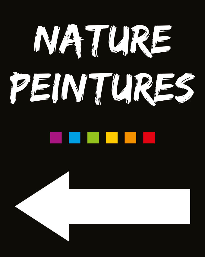 Logo NATURE PEINTURES