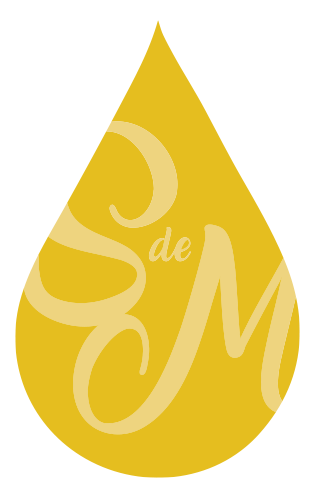 Logo SAVEUR DE METS