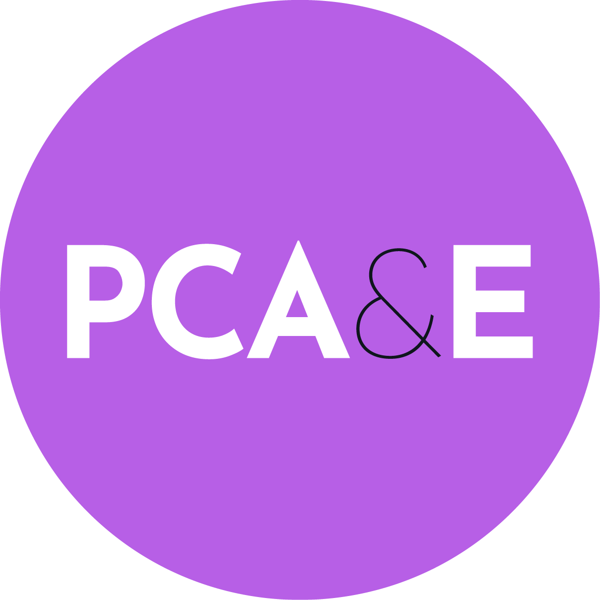 Logo PARIS CONSEIL AUDIT & EXPERTISES