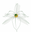 Logo FAHAM