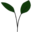 Logo KAPGREEN