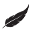 Logo YELLOW WINGS