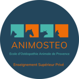 Logo ANIMOSTEO