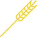 Logo MOUSS'BAT