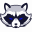 Logo RACOON GLOBAL SERVICES
