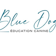 Logo BLUE DOG