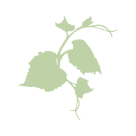 Logo LO DES VIGNES