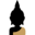 Logo L'ASIANE
