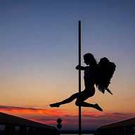 Logo STUDETTE FIT POLE FLEX