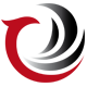 Logo PHOENIX BURO