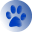 Logo BLUECATS COLLECTIBLES MULTIMEDIA