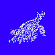 Logo LE POLYMORPHE