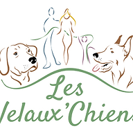 Logo LES VELAUX'CHIENS