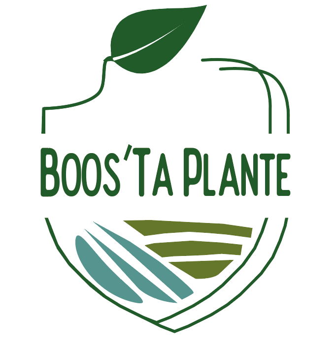 Logo BOOS'TA PLANTE