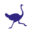 Logo C-MOUA
