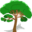Logo DAMON ELAGAGE