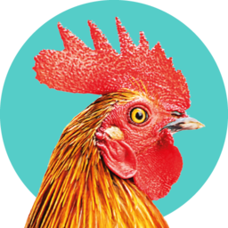 Logo LES COMNAMBULES