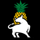 Logo RODIZIO BRAZIL DEVELOPPEMENT
