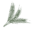 Logo GRAIN FLORI
