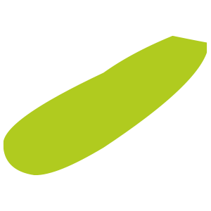 Logo PINEL CHAUSSEUR