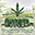 Logo FLEURS DU PLAISIR