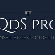 Logo QDS PRO