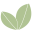 Logo MIJOT'