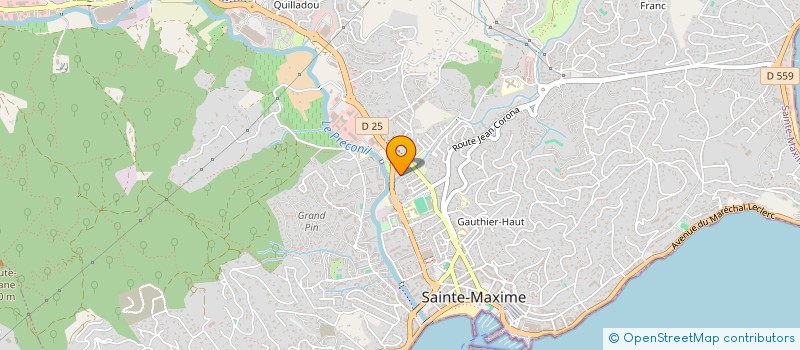 localisation de l'entreprise 1 MAX 2 VELOS  SAINTE-MAXIME