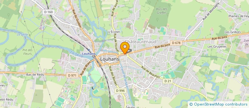 localisation de l'entreprise 100 D'WICHS à LOUHANS