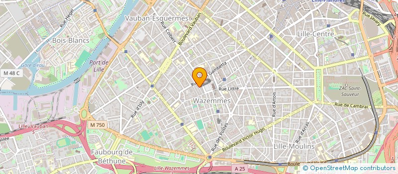 localisation de l'entreprise 10H51 à LILLE