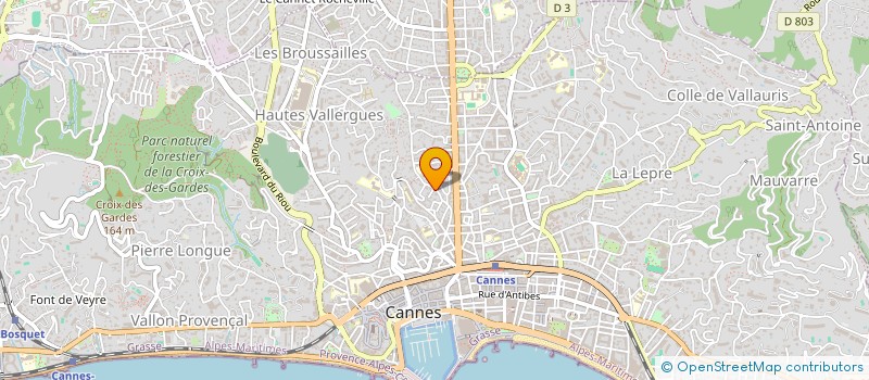 localisation de l'entreprise 123 CONSEIL  CANNES