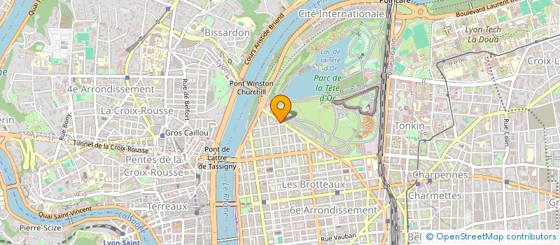 localisation de l'entreprise 16 BD DES BELGES à LYON