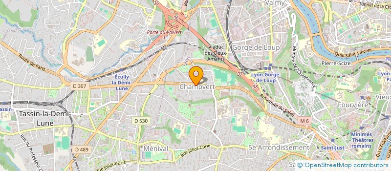 localisation de l'entreprise 173 BUYER  LYON