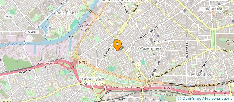 localisation de l'entreprise 189 ARTOIS  LILLE