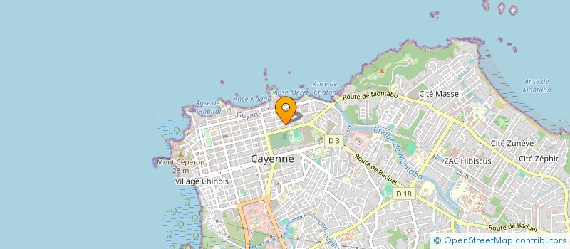localisation de l'entreprise 1D-D1  CAYENNE