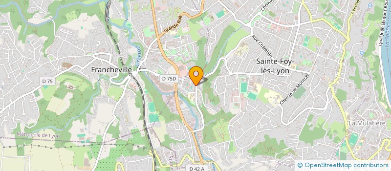 localisation de l'entreprise 1TERSERVICES à SAINTE-FOY-LES-LYON