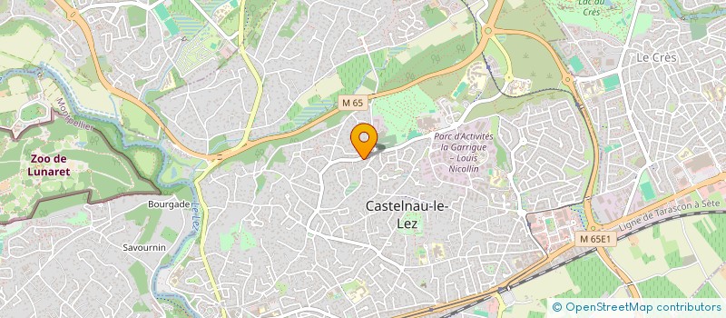 localisation de l'entreprise 2AM  CASTELNAU-LE-LEZ