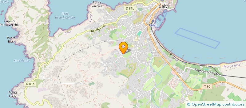 localisation de l'entreprise 2B CONSEILS  CALVI