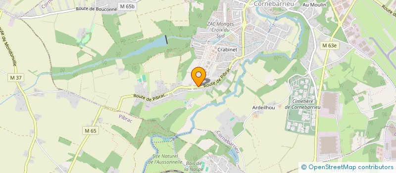 localisation de l'entreprise 2JZ TRANSPORT  MONDONVILLE