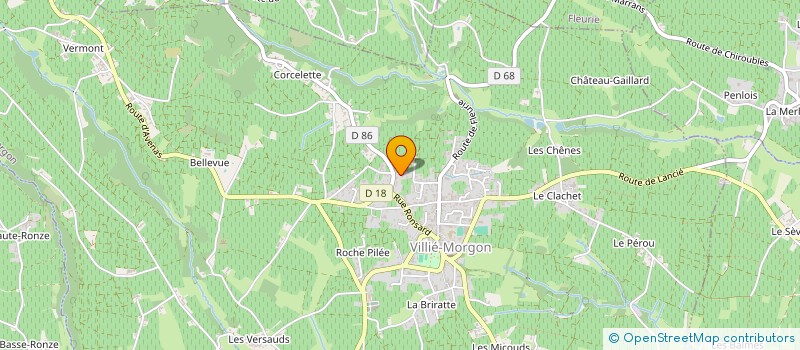 localisation de l'entreprise 2RVX  VILLIE-MORGON