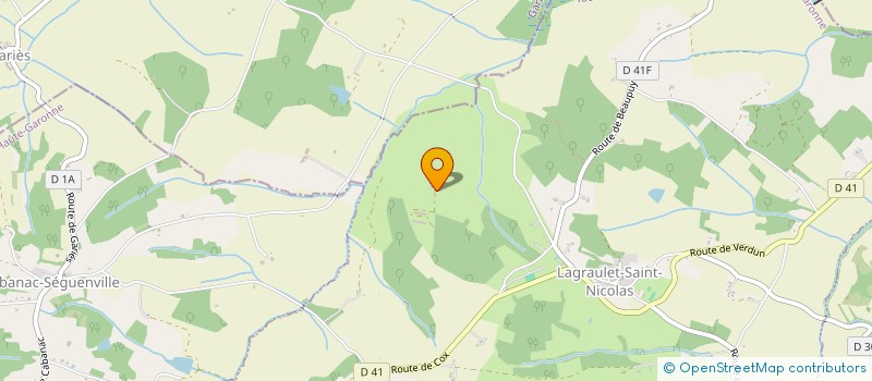 localisation de l'entreprise 313 135 766   LAGRAULET-SAINT-NICOLAS