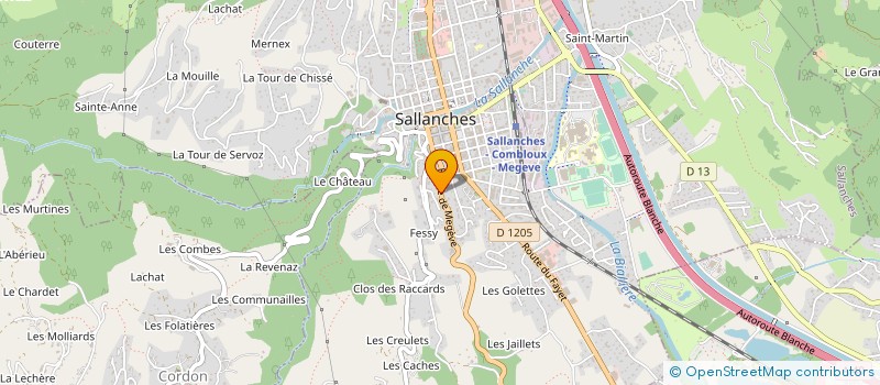 localisation de l'entreprise 313 490 476   SALLANCHES