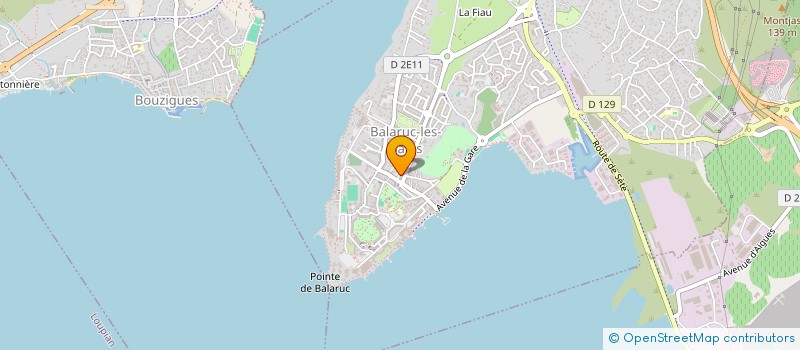 localisation de l'entreprise 314 810 789   BALARUC-LES-BAINS