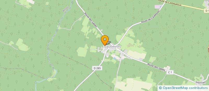 localisation de l'entreprise 316. DEVELOPPEMENT  CAUBEYRES