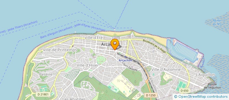 localisation de l'entreprise 33 TAXIS DU BASSIN  ARCACHON