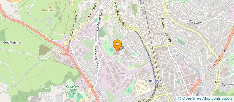 localisation de l'entreprise 331 613 570   SAINT-ETIENNE