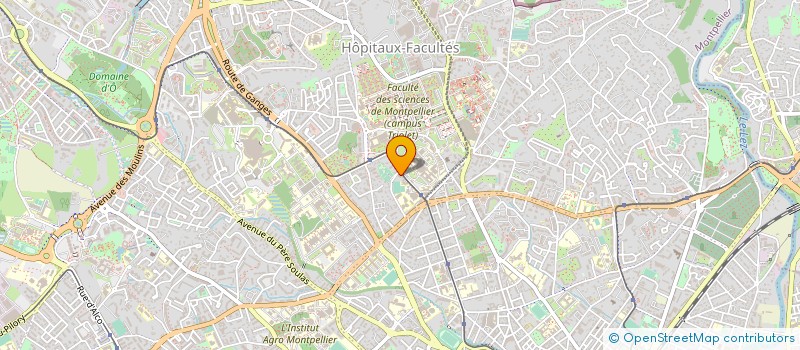 localisation de l'entreprise 333 290 286 à MONTPELLIER