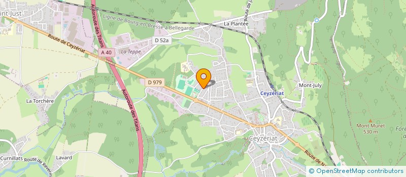 localisation de l'entreprise 333 456 713 à CEYZERIAT